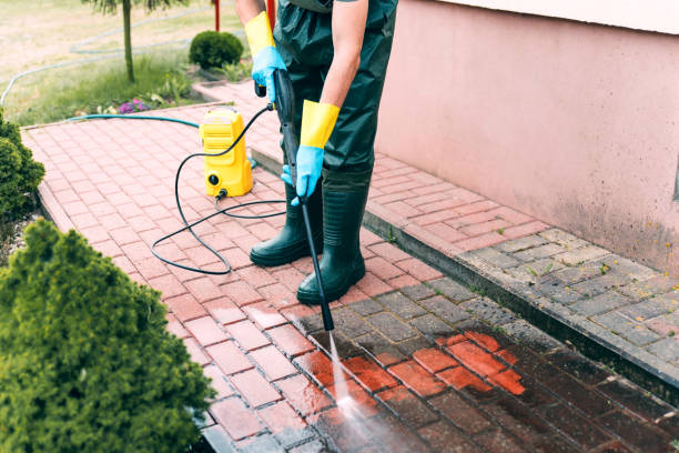 Boat and Dock Cleaning in North Lima, OH